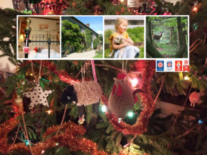 Christmas 2019 Homepage