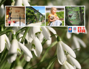 January 2020 Farmhouse B&B Devon