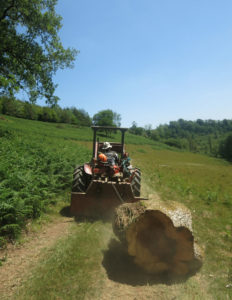 Dragging part of a fallen tree trunk