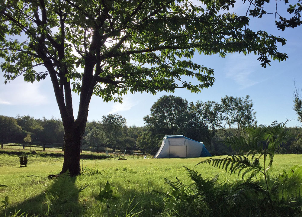 Camping in a tent