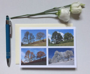 2-trees-4-seasons-Card £2.50 each or 5 for £10