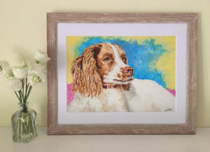 Springer Spaniel Mounted Print £20 each