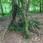 Build a den in the woodland