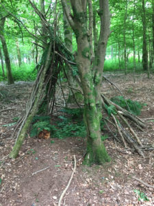 Build a den in the woodland