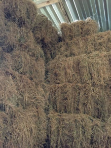 Barn stored small bale hay