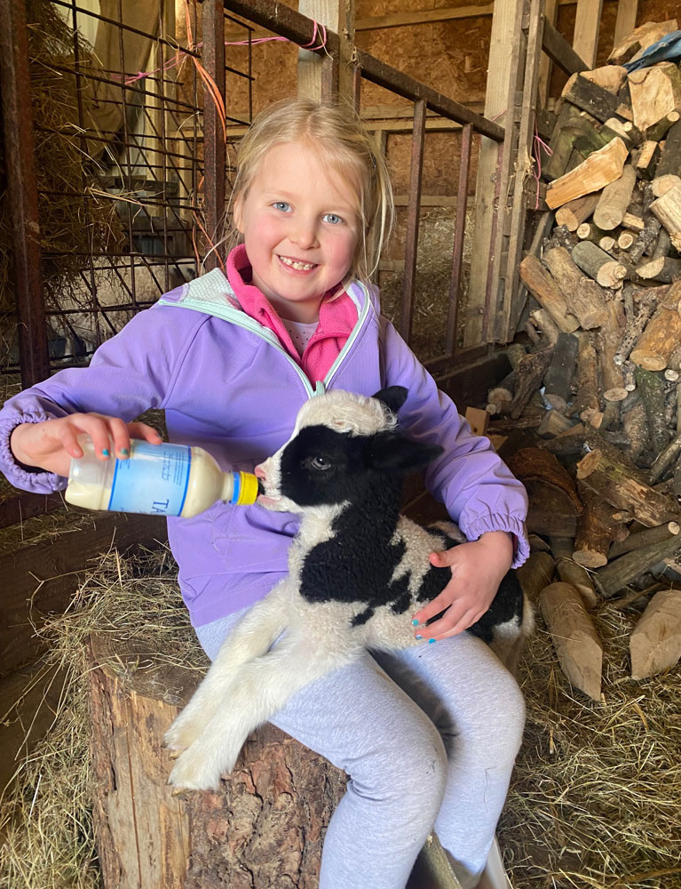 Bottle feeding Jacob lamb, who's mother doesn'y have enough milk for two lambs