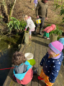 Fish for frogs in the pond 