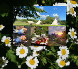 Camping and B&B at Huxtable Farm