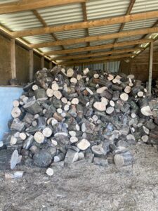 Hardwood logs in shed