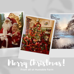 Merry Christmas from all at Huxtable Farm