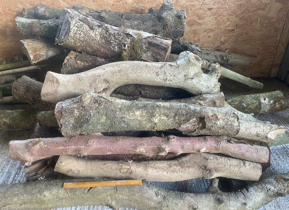 Hawthorn, Blackthorn and Holly wood for woodturning and woodcarvering