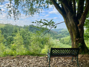 Bench with a view on the Devon Wildlife Farm Trail