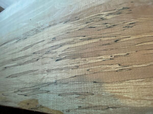 Dried wood ideal for table or shelf project