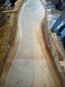 Dried wood ideal for table or shelf project