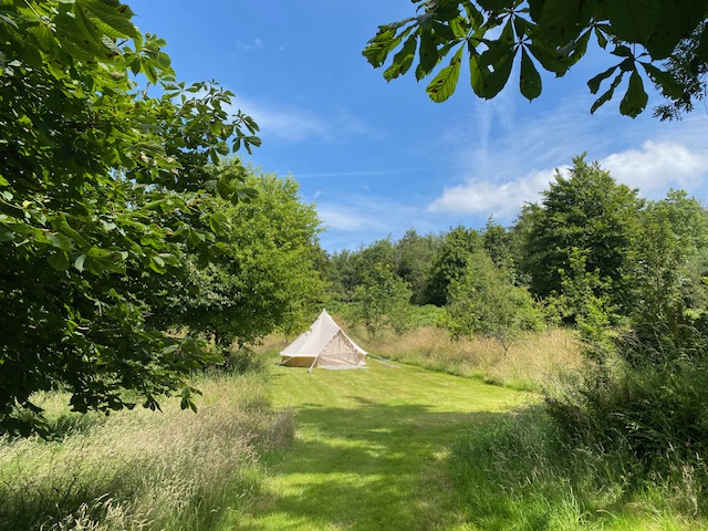 Pitch 4 in the Orchard