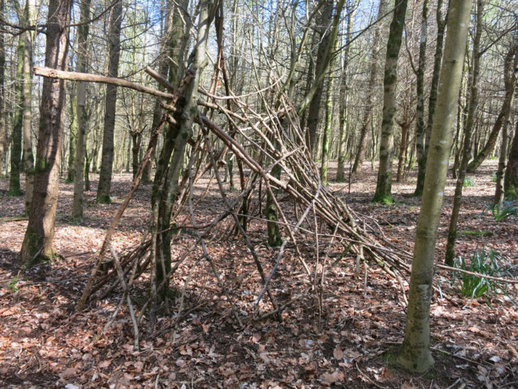 Build a den in the woods - Huxtable Farm