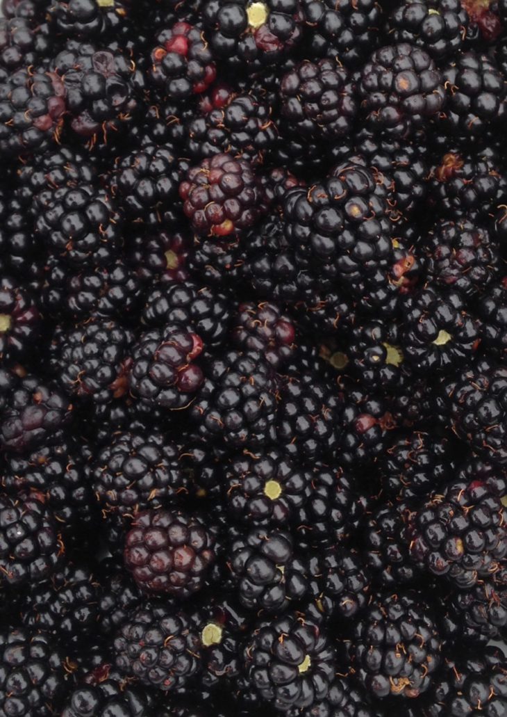 Blackberries