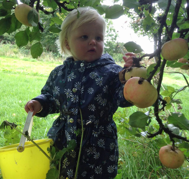 Apple picking time