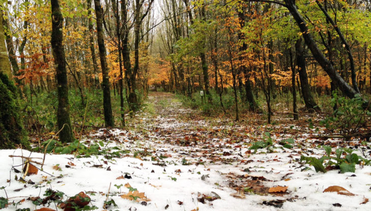 First snow of 2016 winter