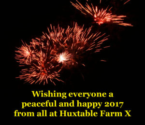 Happy New Year from all at Huxtable Farm B&B, Devon