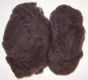 Jacob washed and carded fleece ideal for spinning or felting