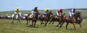 Point to point horse racing