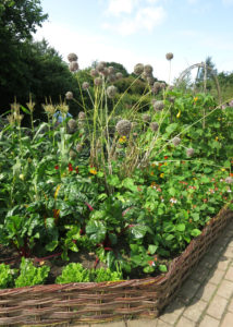 RHS Rosemoor Flower Show 2017