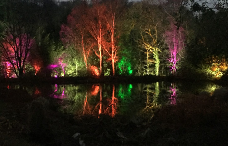 RHS Rosemoor lights