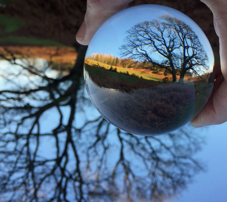 Crystal Ball photo at Huxtable Farm