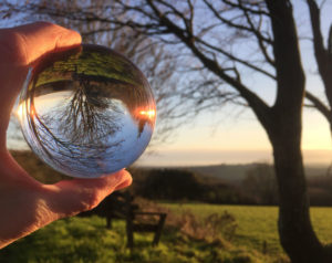 Crystal Ball photo at Huxtable Farm