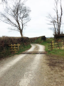 Cattlegrid & corner in lane to farmhouse