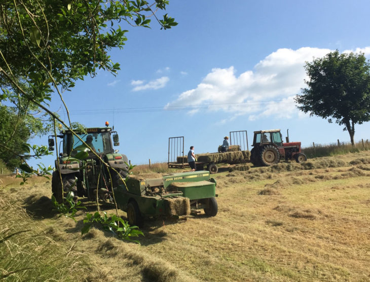 Hay making