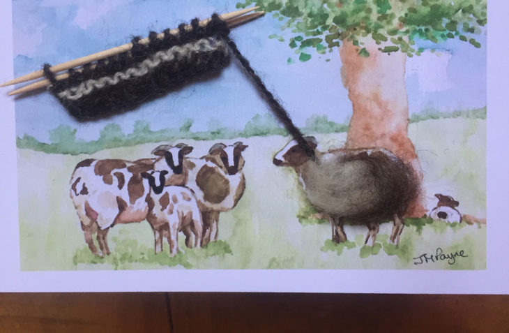 Jacob sheep card