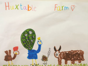 Little visitors drawing of hen, peacock, guinea fowls and Jacob sheep