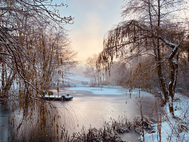 Snowy pond @huxtablefarm